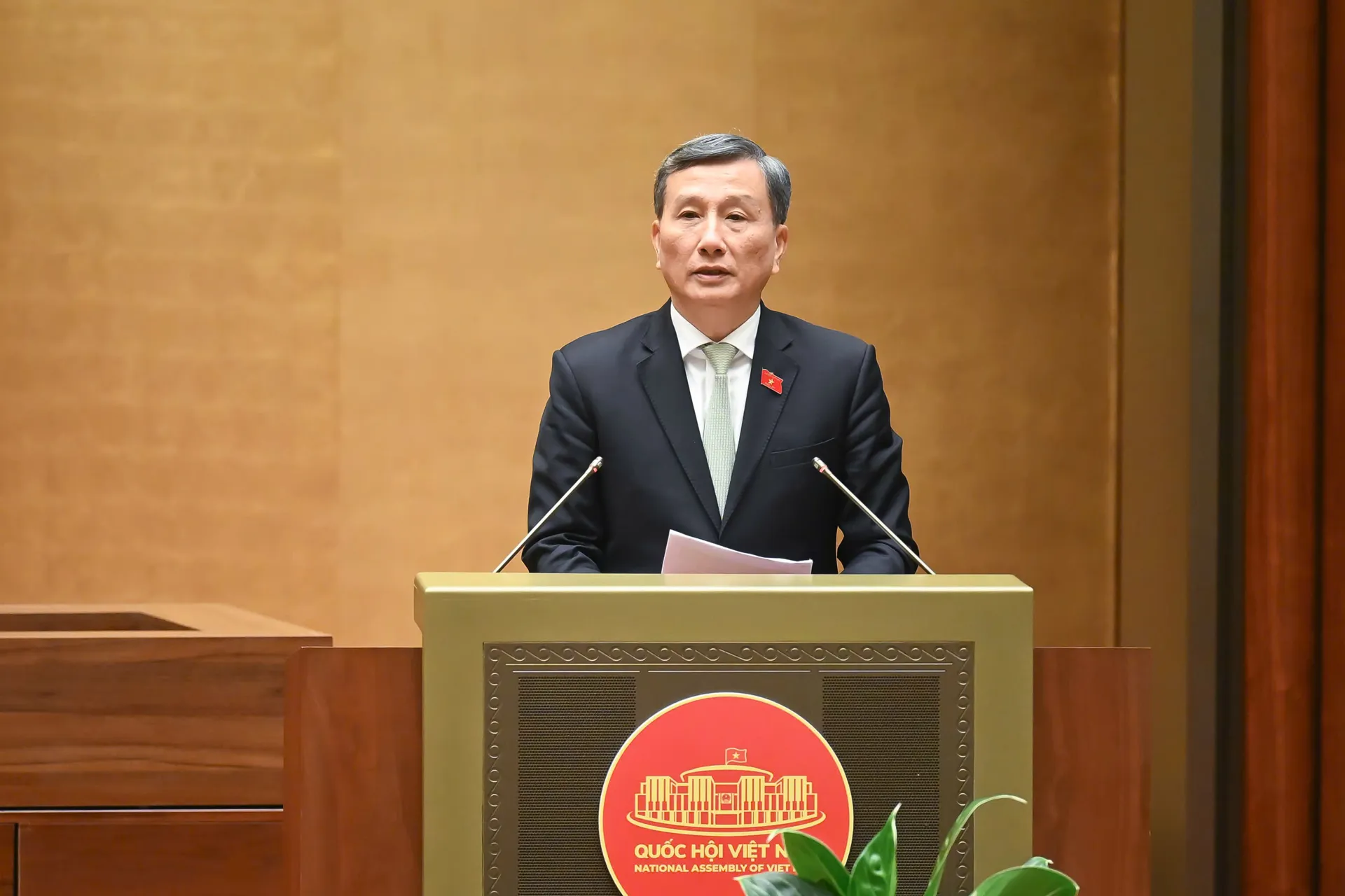 Hình ảnh 3
