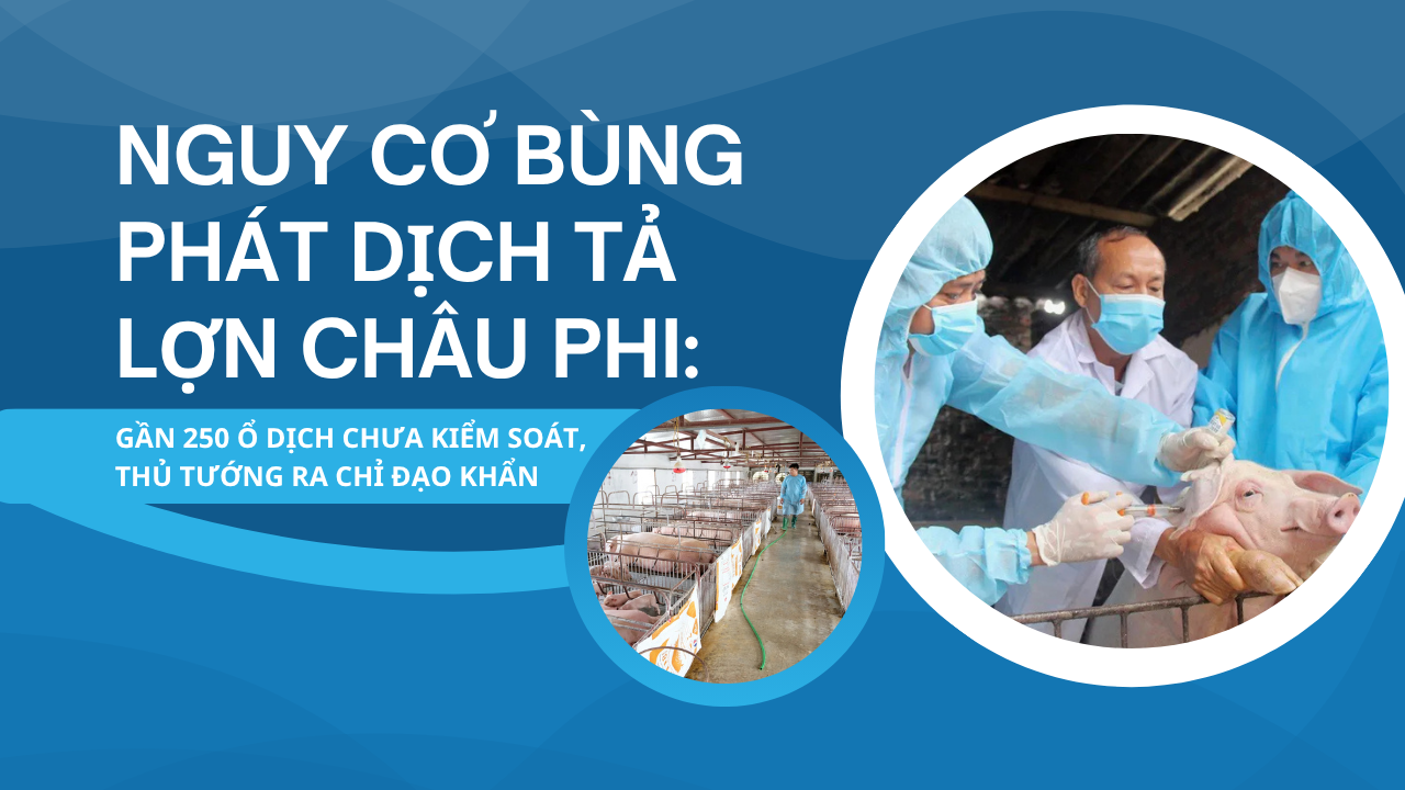 Ảnh podcast