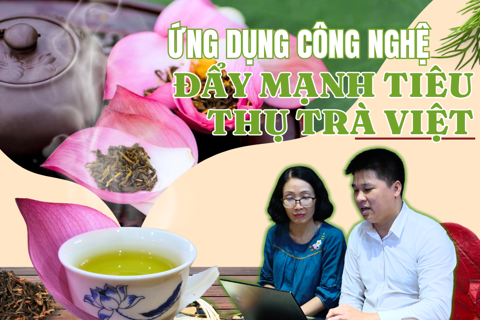 Ứng dụng công nghệ đẩy mạnh tiêu thụ trà Việt