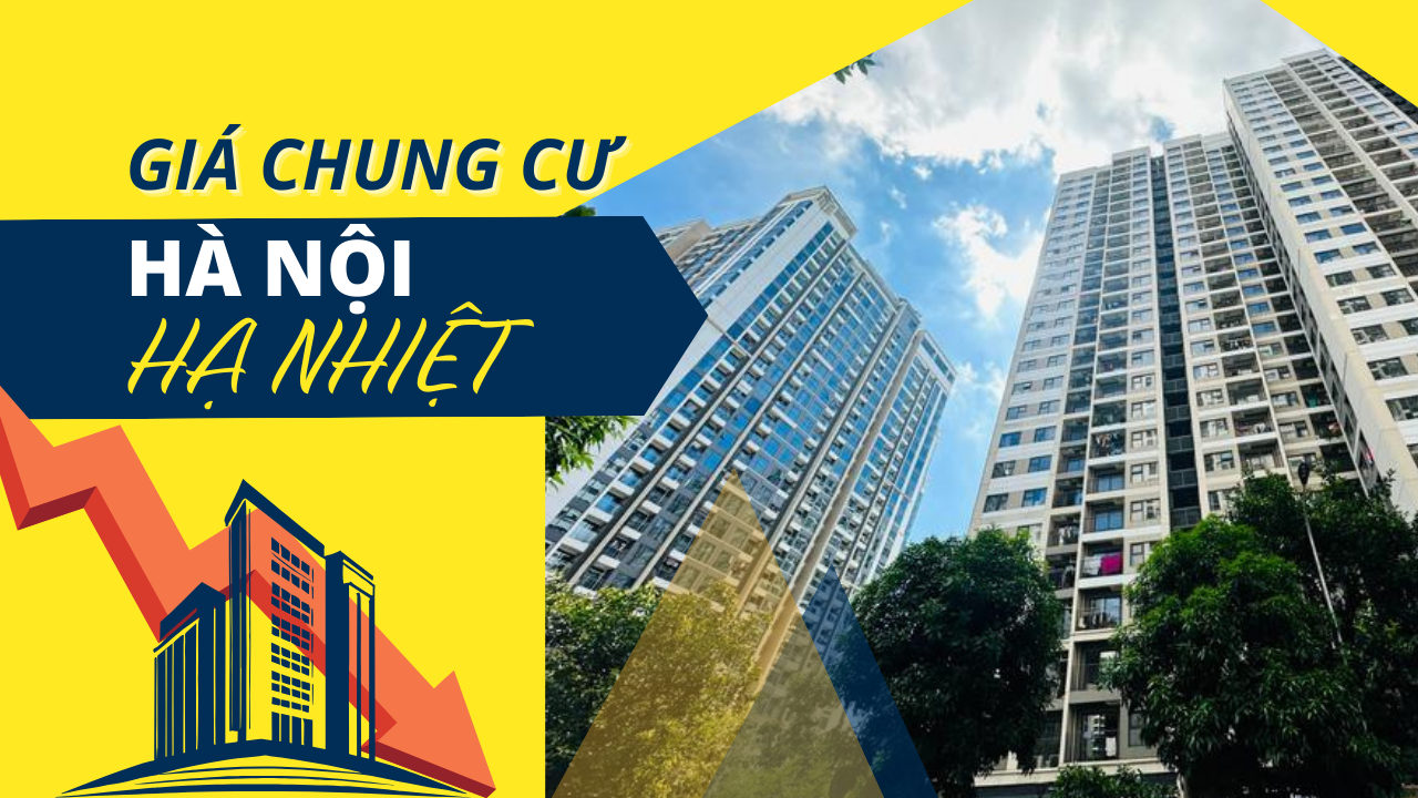 Ảnh podcast Ảnh podcast