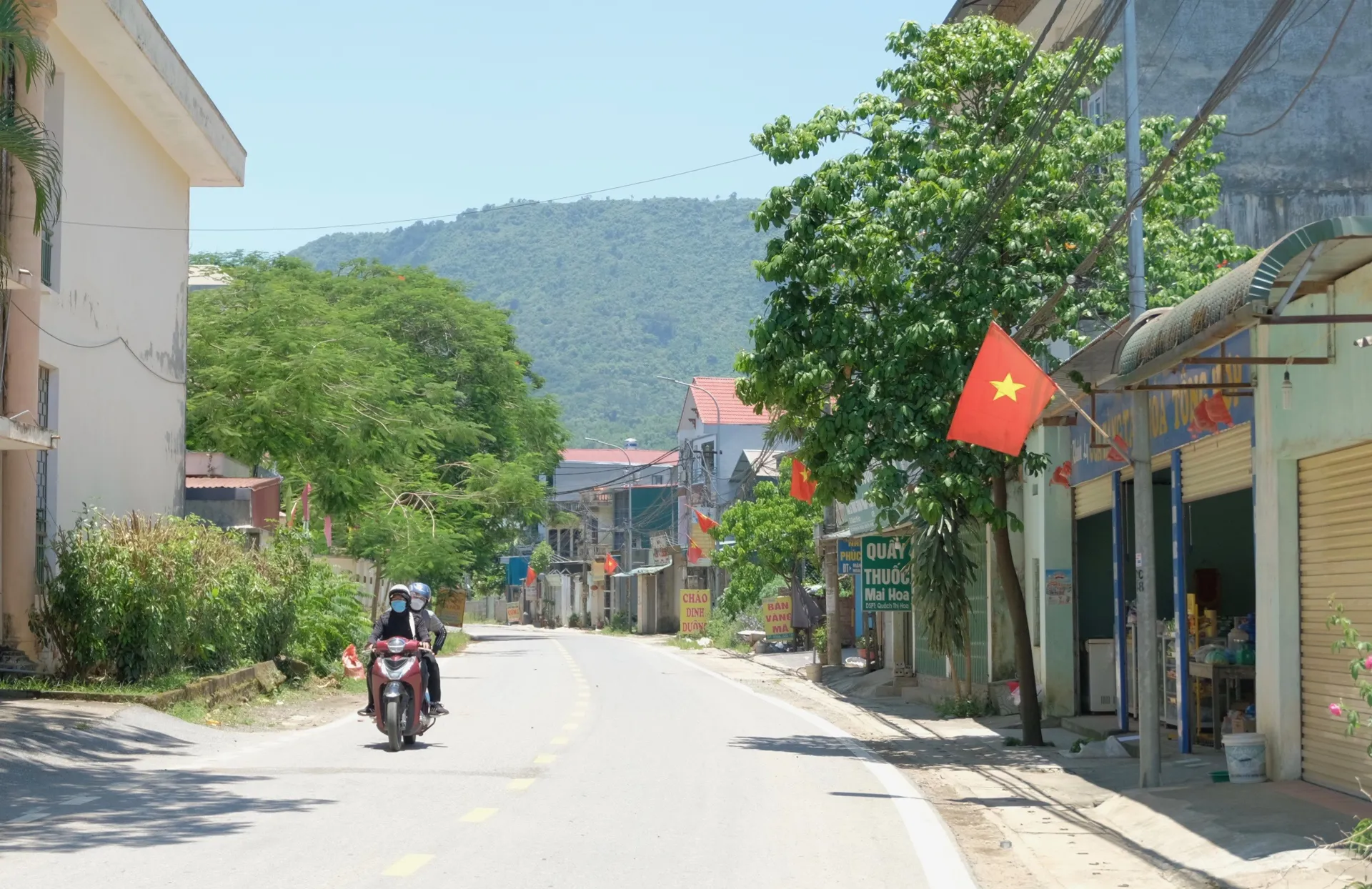 Hình ảnh 1
