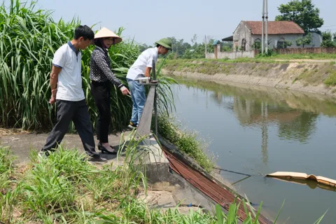 Phú Thọ: lên kế hoạch quan trắc, cảnh báo và giám sát môi trường với 47 địa điểm chăn nuôi