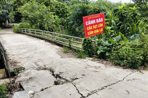 Phú Thọ: sạt lở nghiêm trọng ven kênh Bến Tre, hàng chục hộ dân sống trong lo sợ