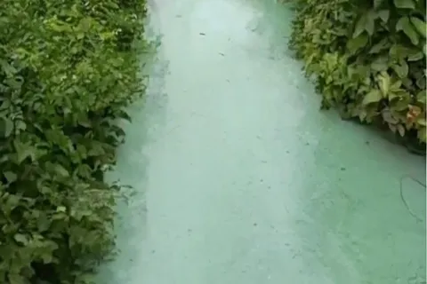 Phú Thọ: xác định nguyên nhân khiến mương thoát nước thải chuyển màu bất thường