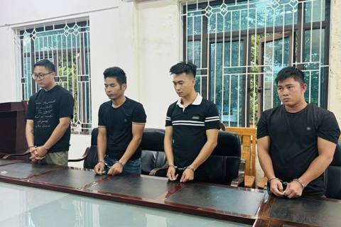 Vĩnh Phúc: khởi tố 4 đối tượng buôn lậu cây dó bầu qua biên giới
