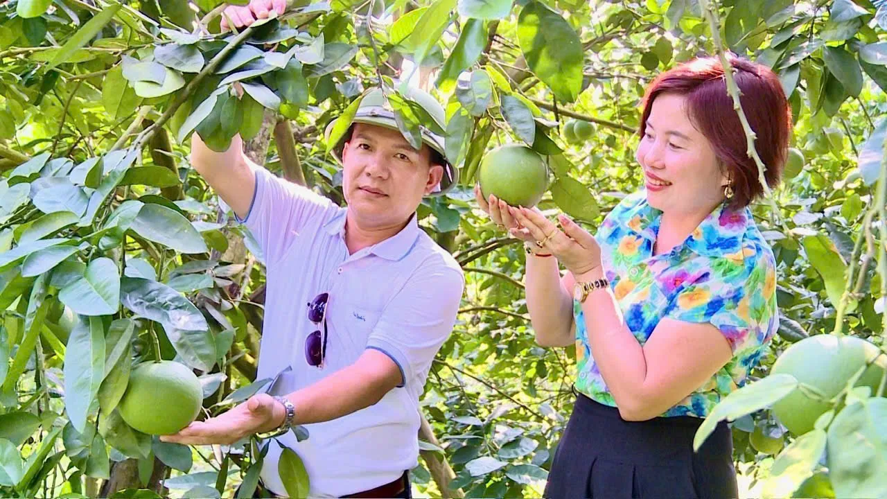 Hình ảnh 1