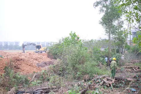 Phú Thọ: cưỡng chế giải phóng mặt bằng thực hiện Dự án đầu tư phát triển đô thị phường Hùng Vương