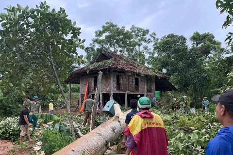 Phú Thọ: triển khai ứng phó bão số 3, hạn chế thiệt hại do mưa lớn, giông lốc