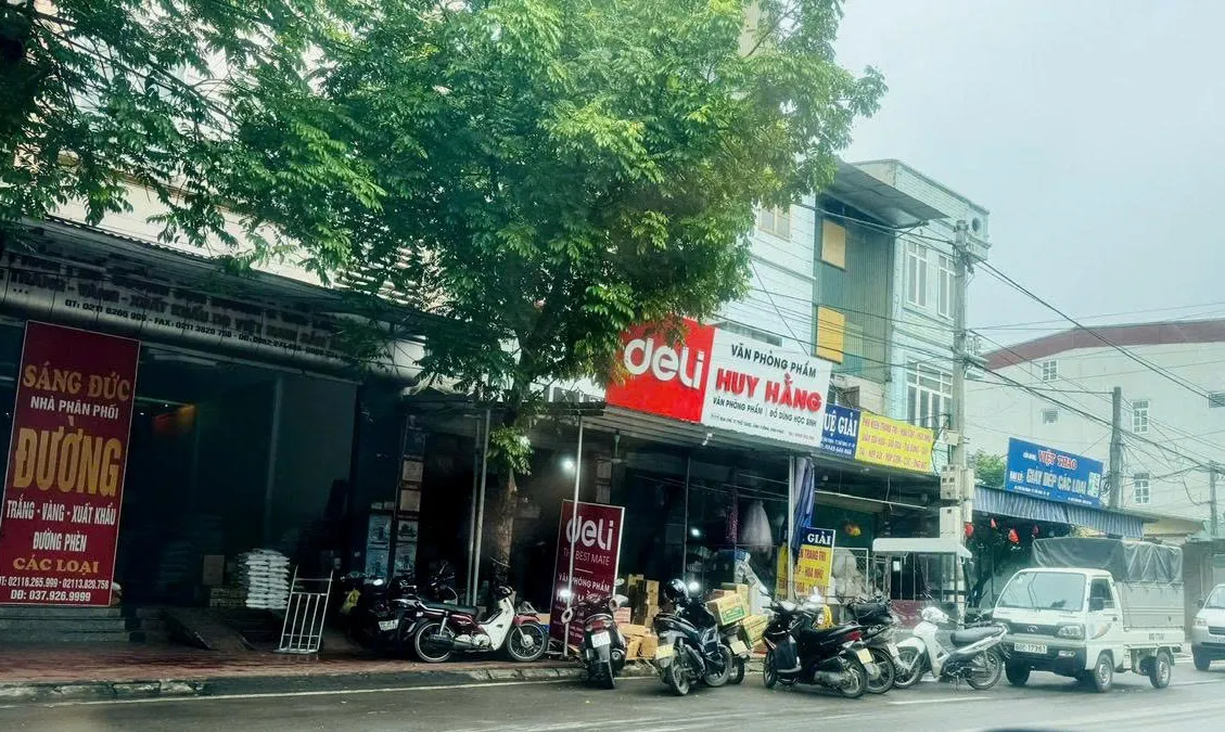 Hình ảnh 2