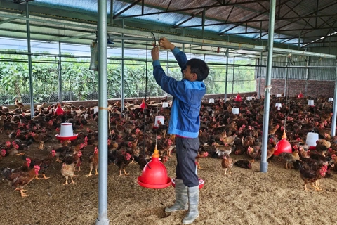 Phú Thọ dành hơn 306 tỷ đồng triển khai Chương trình giảm nghèo bền vững năm 2025