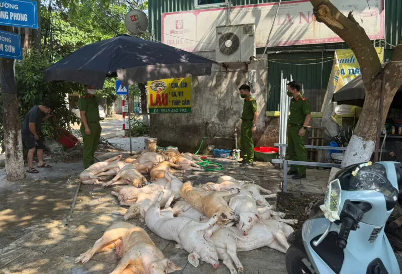 Hình ảnh 1