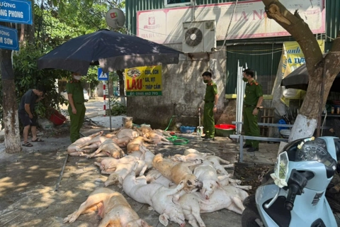 Vĩnh Phúc: phát hiện hơn 1 tấn thịt lợn “bẩn” chuẩn bị đưa lên bàn ăn