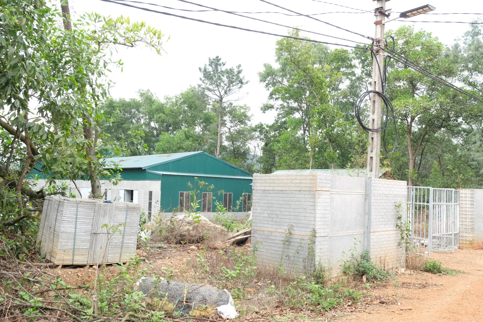 Phú Thọ: siết chặt quản lý đất đai, xử lý nghiêm tình trạng vi phạm trật tự xây dựng