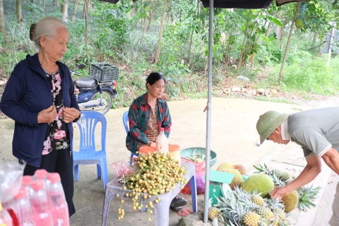 Dứa rừng lim - đặc sản ngọt lành của miền quê Đạo Trù