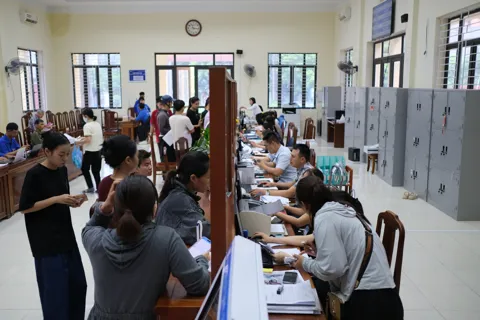 Phú Thọ: đạt hơn 110% kế hoạch điều động, biệt phái công chức, viên chức về cơ sở