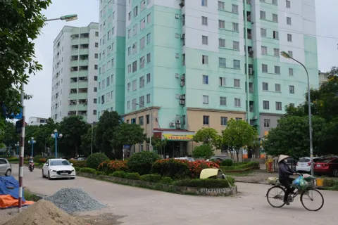 Phú Thọ: tháo gỡ khó khăn để đẩy nhanh tiến độ các dự án nhà ở xã hội