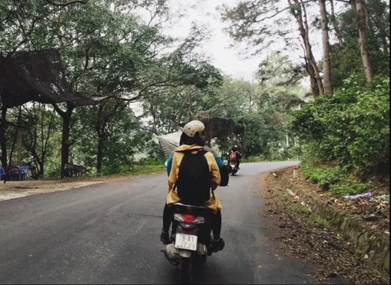 Hình ảnh 2