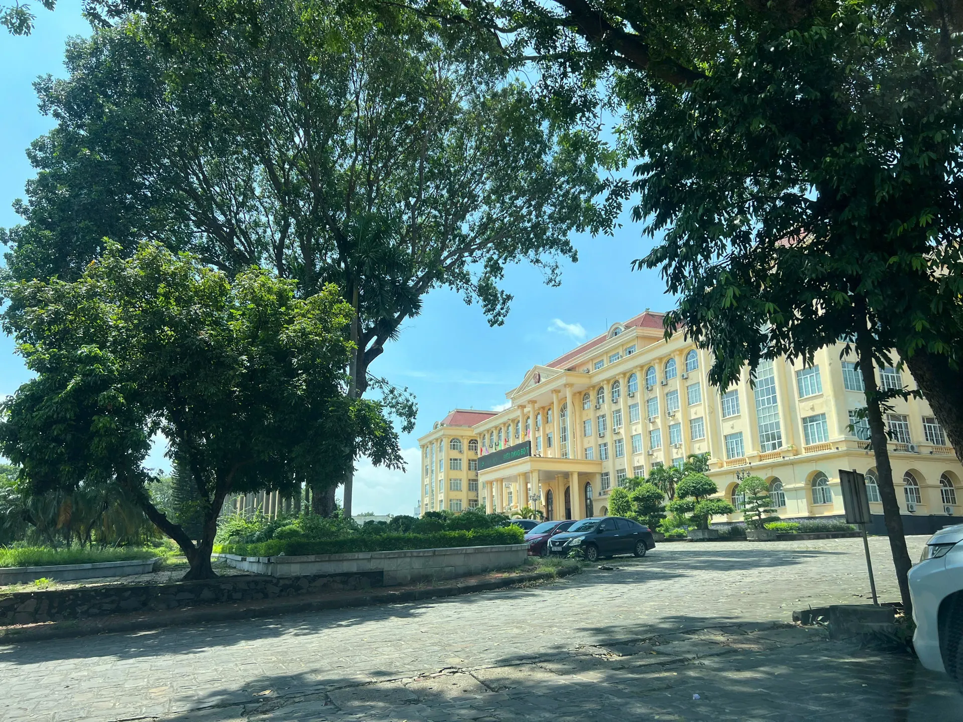 Hình ảnh 1