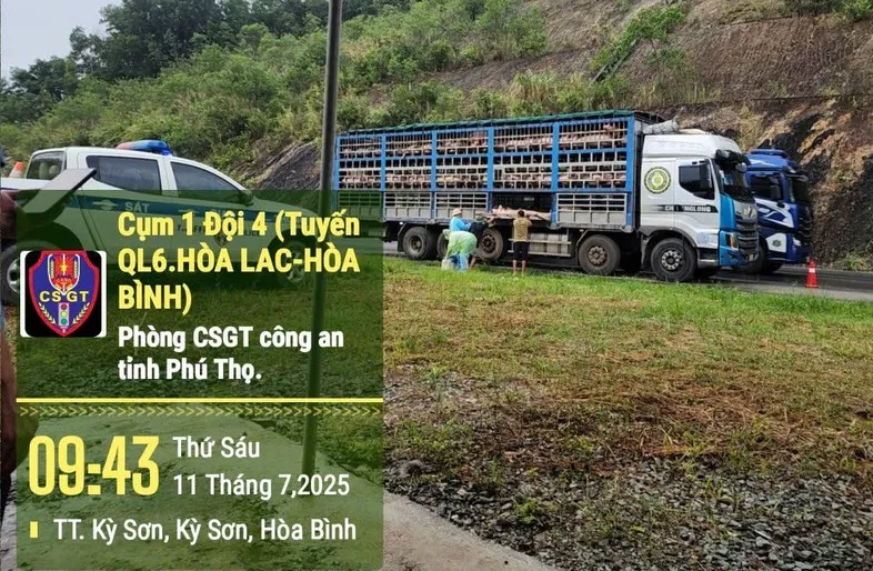 Hình ảnh 2