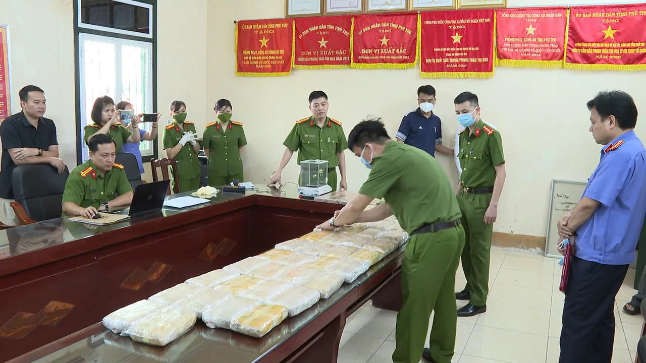 Hình ảnh 2
