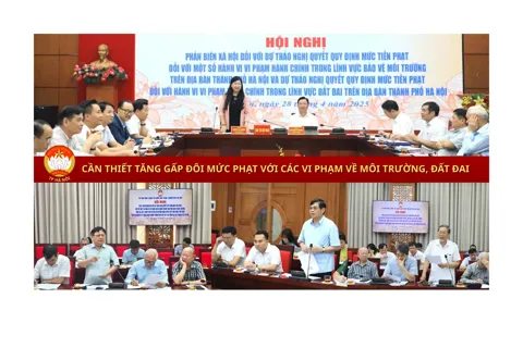 Cần thiết tăng gấp đôi mức phạt với các vi phạm về môi trường, đất đai
