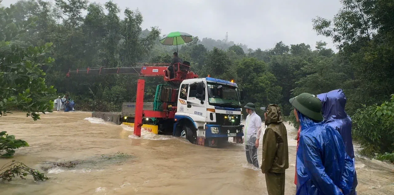 Hình ảnh 2
