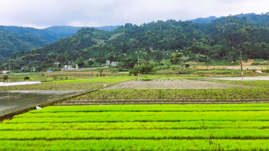 Hình ảnh 1