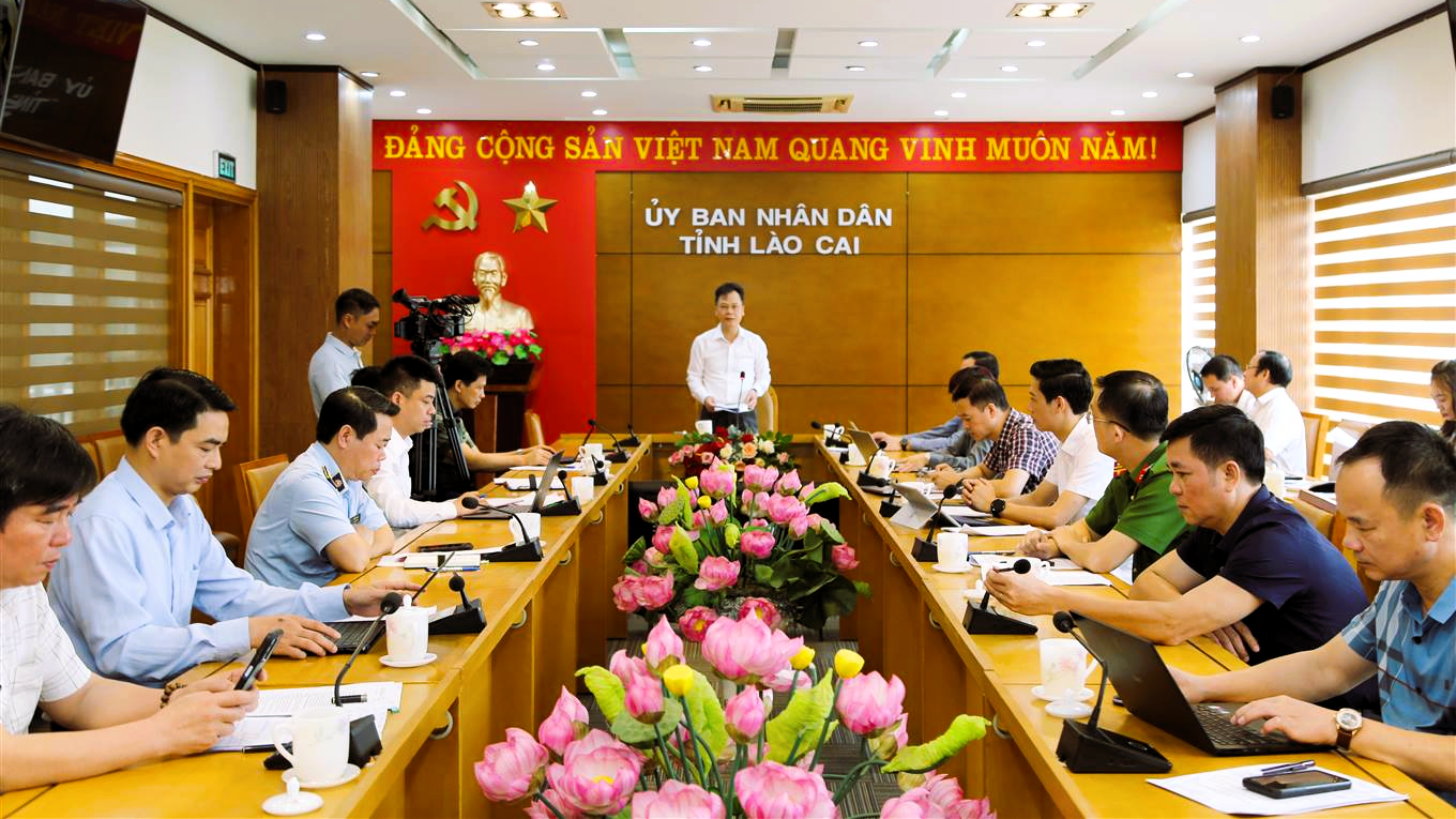 Hình ảnh 2