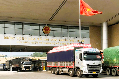 Lào Cai điều chỉnh phân luồng qua cửa khẩu phục vụ cao điểm xuất khẩu vải tươi
