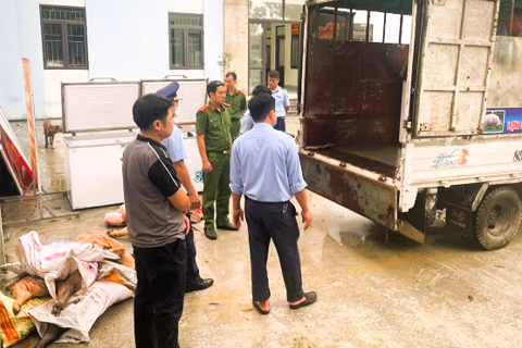 Cảnh báo ô nhiễm nguồn nước từ hành vi vứt xác động vật ra sông, suối tại Hà Giang
