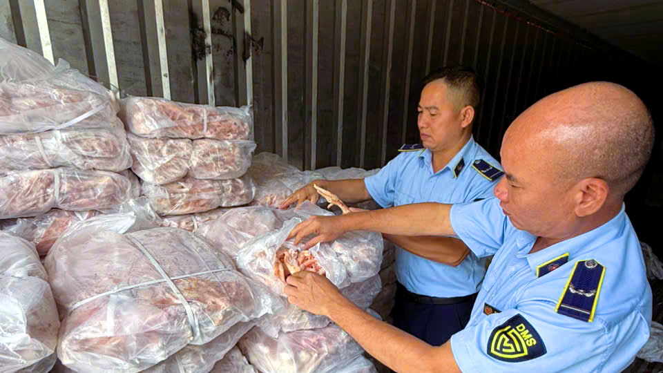 Lào Cai: phát hiện hơn 1,5 tấn chân gà đông lạnh không rõ nguồn gốc trong container