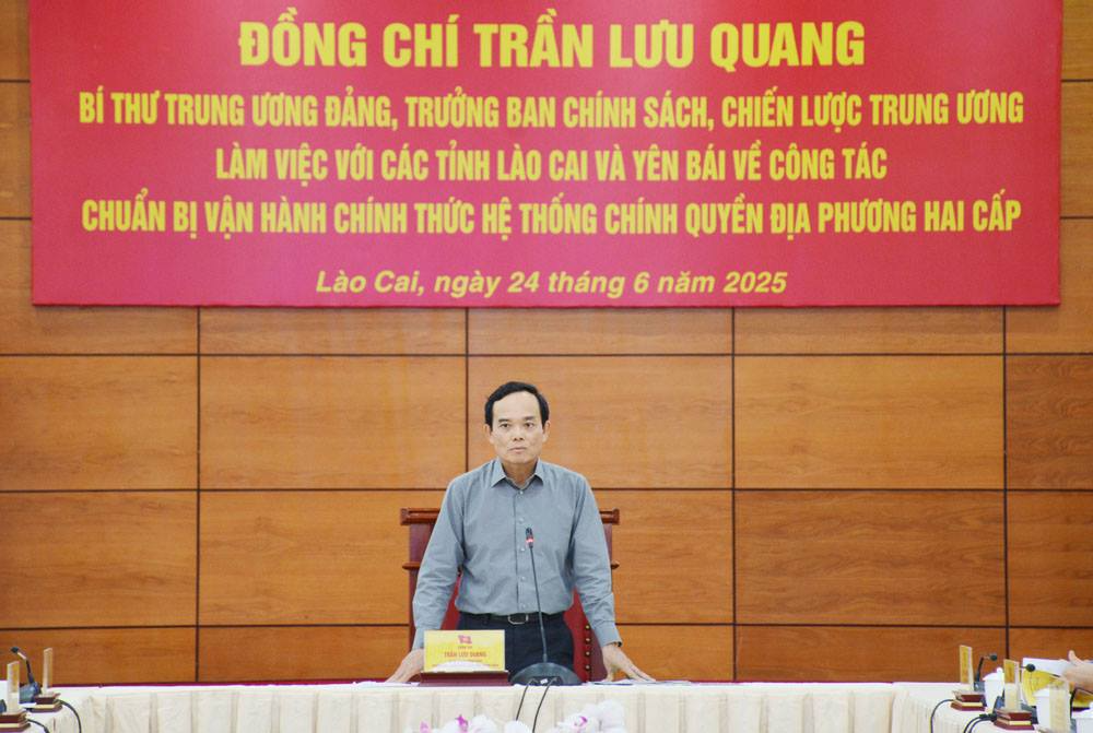 Hình ảnh 3