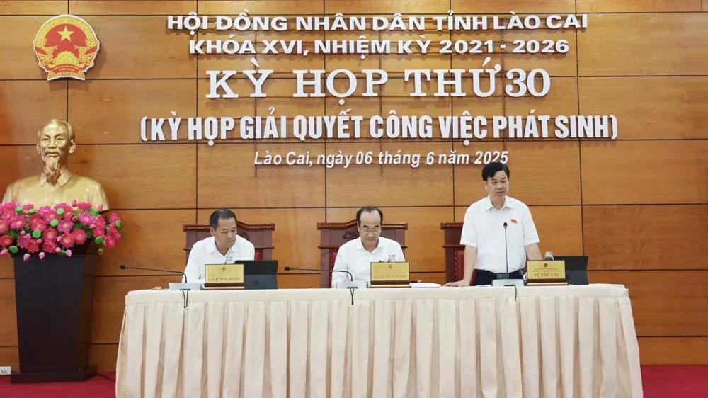 Hình ảnh 2