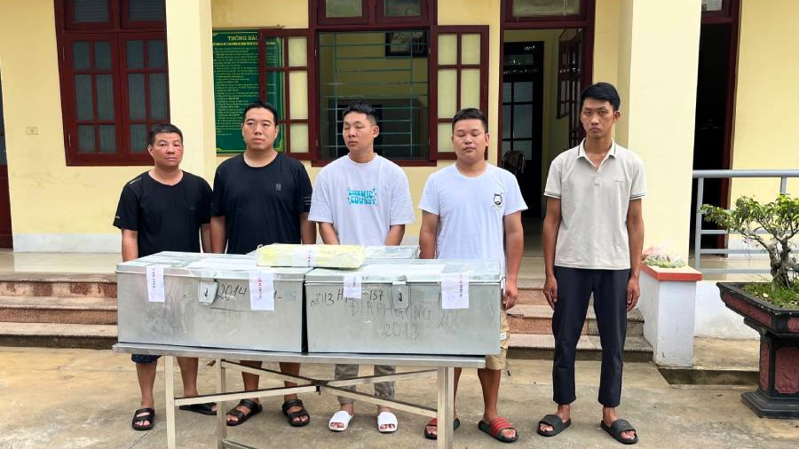 Hình ảnh 1