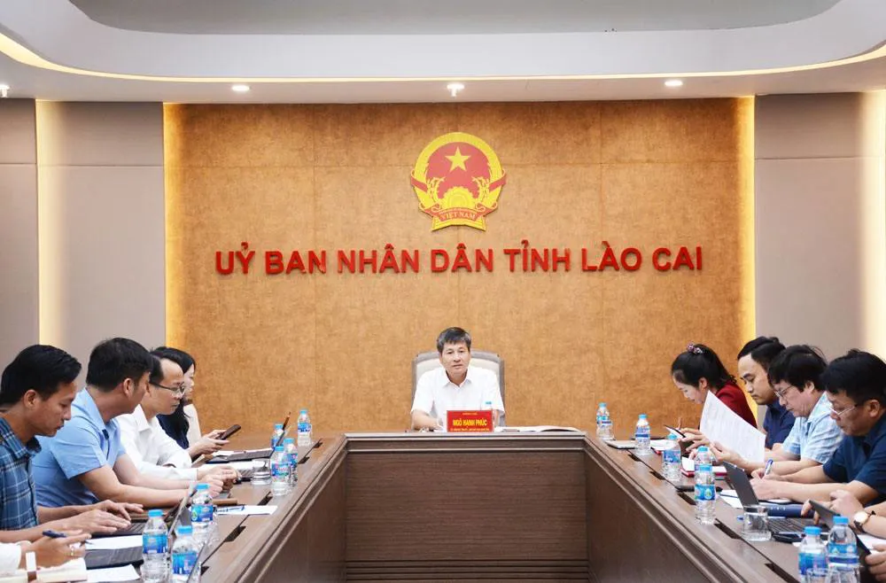 Hình ảnh 2
