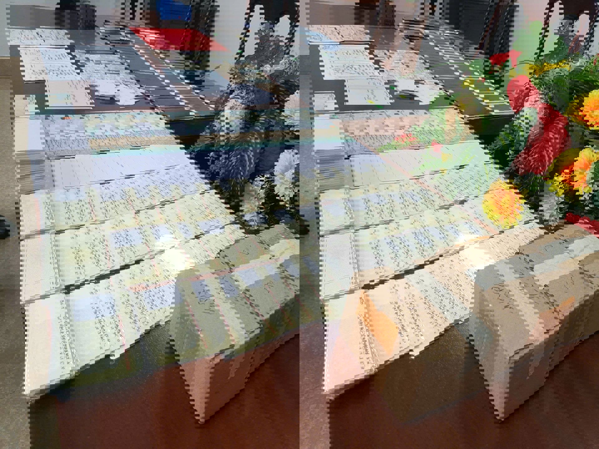 Hình ảnh 2