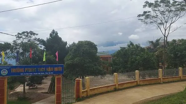 Hình ảnh 1