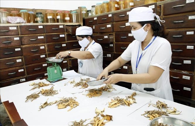 Hanoi bolsters traditional medicine to enhance public health
