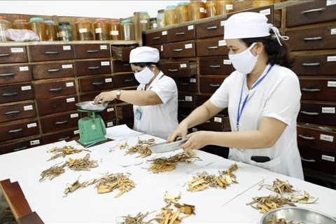 Hanoi bolsters traditional medicine to enhance public health