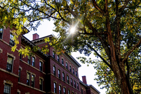 Đại học Harvard và Toronto "bắt tay" hỗ trợ sinh viên mắc kẹt vì visa Mỹ