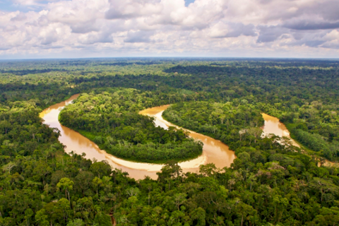 Cháy rừng, chiếm dụng đất đai đẩy nạn phá rừng Colombia tăng vọt 43%