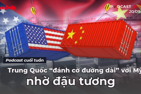 Podcast quốc tế: Trung Quốc “đánh cờ đường dài” với Mỹ nhờ đậu tương