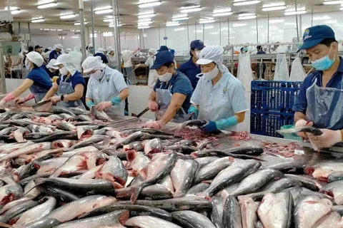 Việt Nam lên tiếng việc Mỹ từ chối công nhận 12 ngành khai thác thủy sản
