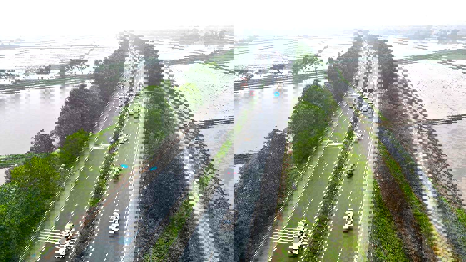 Hình ảnh 1