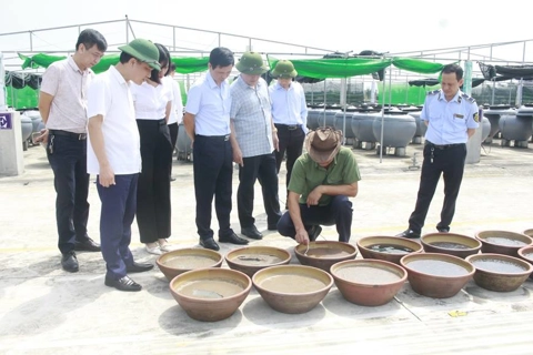 Nam Định: hướng tới thị trường thực phẩm sạch, minh bạch