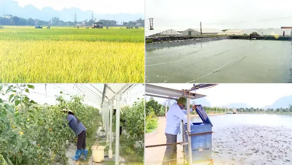 Ninh Bình tìm hướng giải quyết việc làm bền vững cho lao động nông thôn