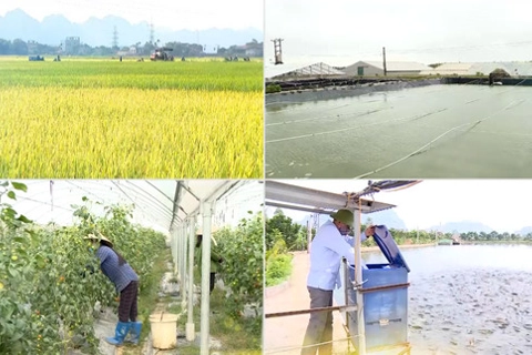 Ninh Bình tìm hướng giải quyết việc làm bền vững cho lao động nông thôn