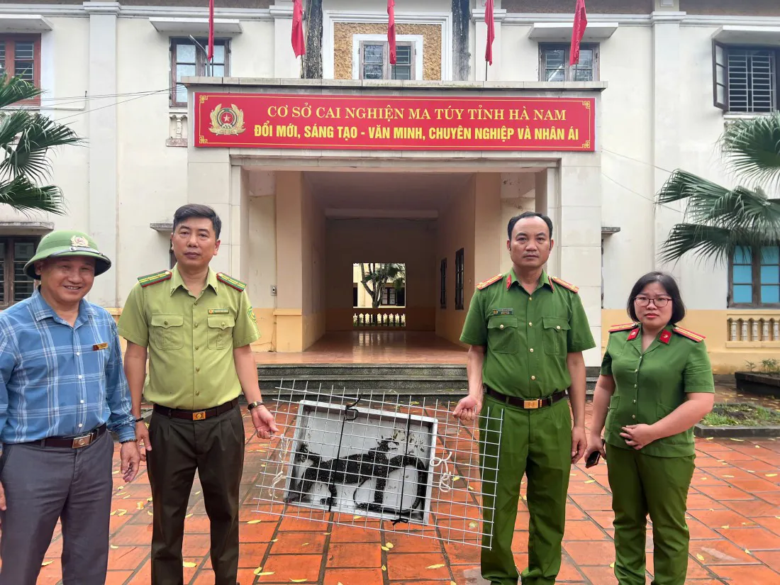 Hình ảnh 1