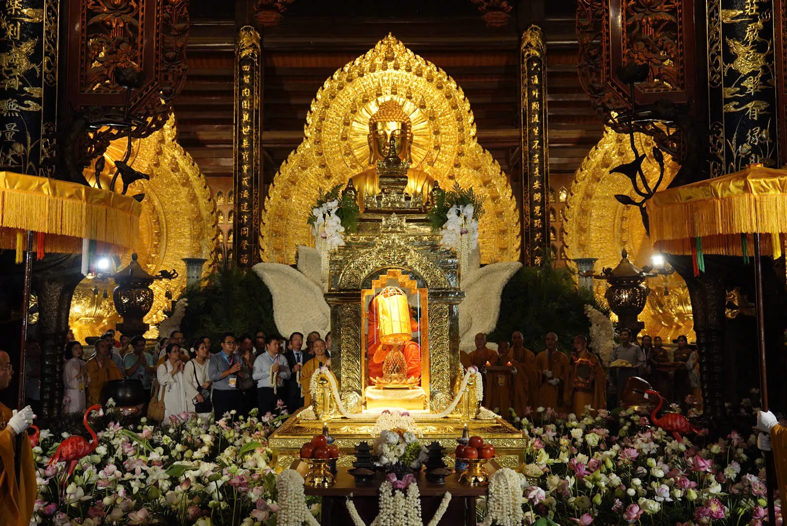 Hình ảnh 6