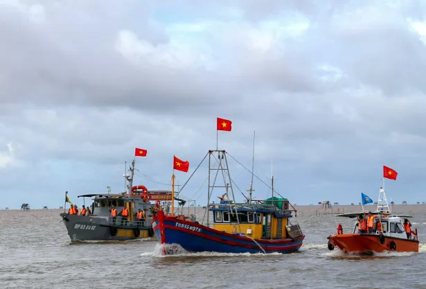 Hình ảnh 1